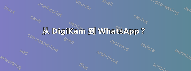 从 DigiKam 到 WhatsApp？