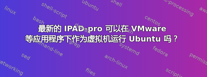 最新的 IPAD-pro 可以在 VMware 等应用程序下作为虚拟机运行 Ubuntu 吗？