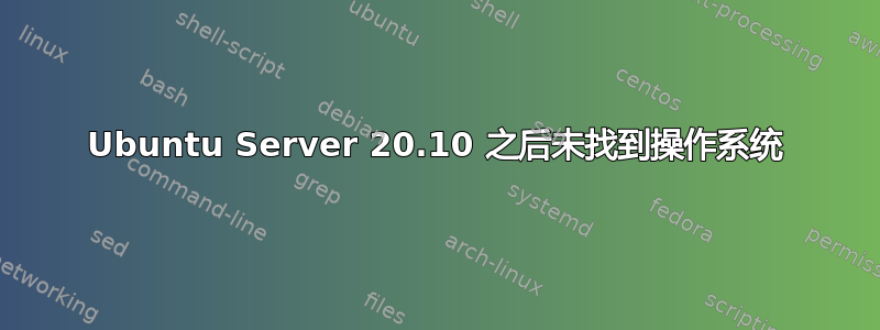 Ubuntu Server 20.10 之后未找到操作系统