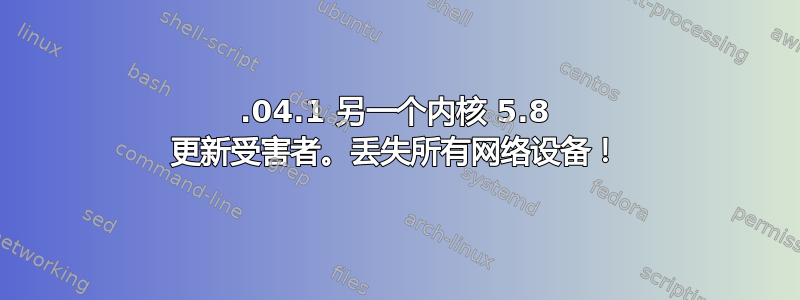 20.04.1 另一个内核 5.8 更新受害者。丢失所有网络设备！