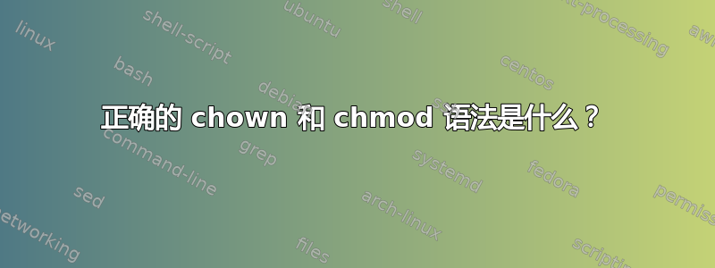 正确的 chown 和 chmod 语法是什么？