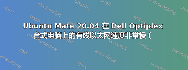 Ubuntu Mate 20.04 在 Dell Optiplex 台式电脑上的有线以太网速度非常慢（