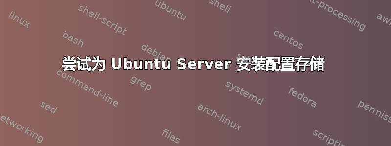 尝试为 Ubuntu Server 安装配置存储