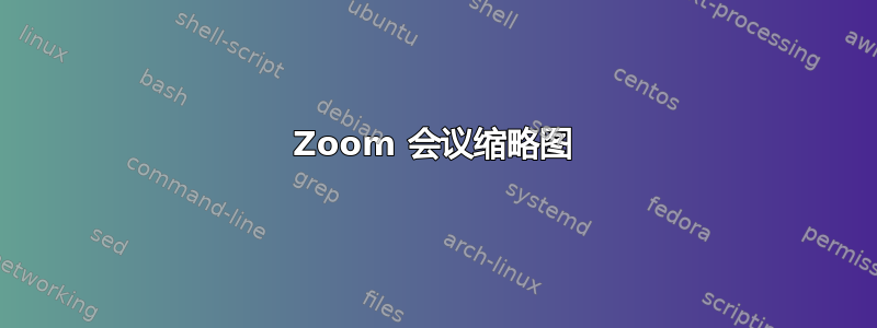 Zoom 会议缩略图