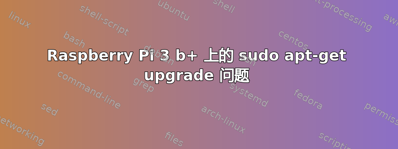 Raspberry Pi 3 b+ 上的 sudo apt-get upgrade 问题