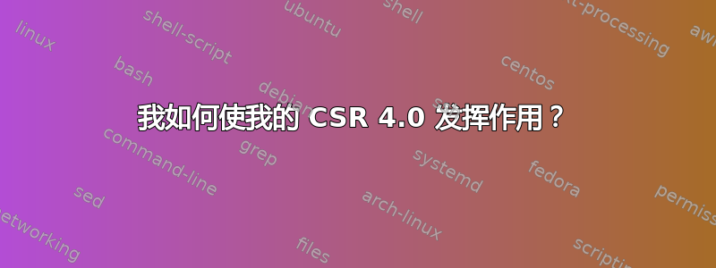 我如何使我的 CSR 4.0 发挥作用？