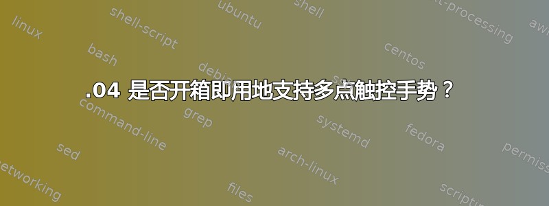 20.04 是否开箱即用地支持多点触控手势？