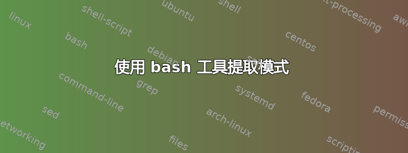 使用 bash 工具提取模式