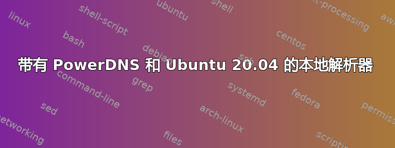 带有 PowerDNS 和 Ubuntu 20.04 的本地解析器