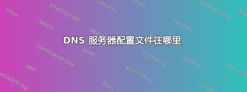 DNS 服务器配置文件在哪里