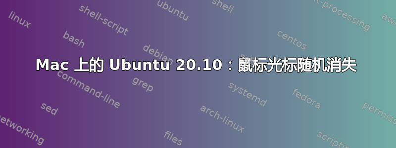 Mac 上的 Ubuntu 20.10：鼠标光标随机消失