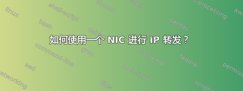 如何使用一个 NIC 进行 IP 转发？