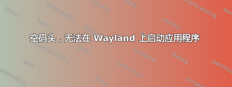 空码头，无法在 Wayland 上启动应用程序