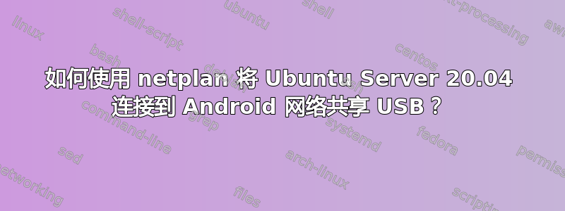 如何使用 netplan 将 Ubuntu Server 20.04 连接到 Android 网络共享 USB？