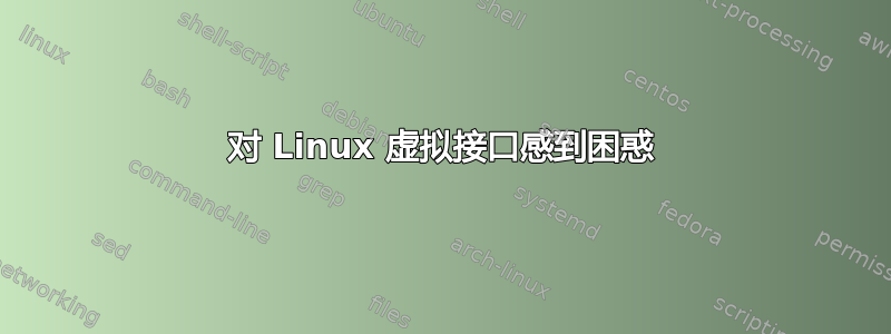 对 Linux 虚拟接口感到困惑