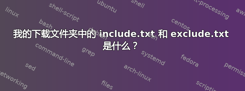 我的下载文件夹中的 include.txt 和 exclude.txt 是什么？