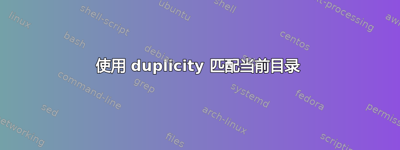 使用 duplicity 匹配当前目录