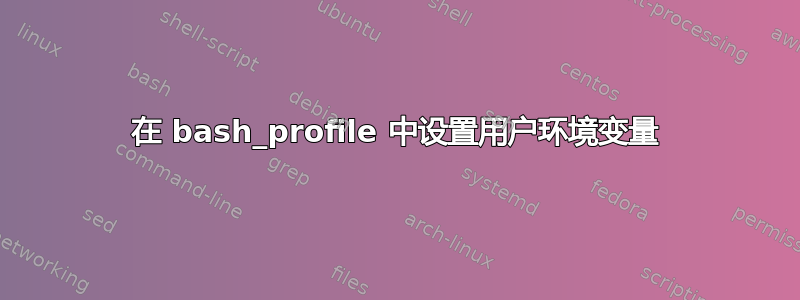 在 bash_profile 中设置用户环境变量