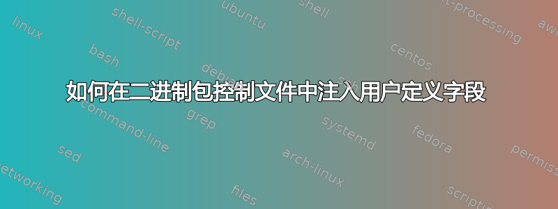 如何在二进制包控制文件中注入用户定义字段