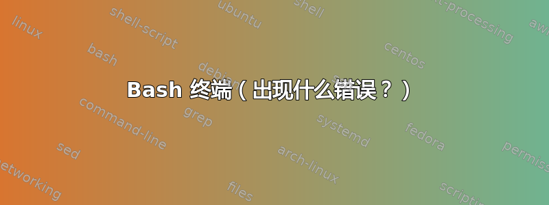 Bash 终端（出现什么错误？）