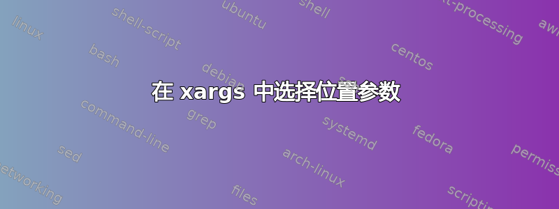 在 xargs 中选择位置参数