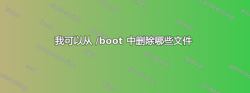 我可以从 /boot 中删除哪些文件