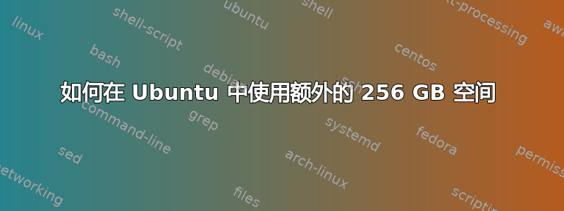 如何在 Ubuntu 中使用额外的 256 GB 空间