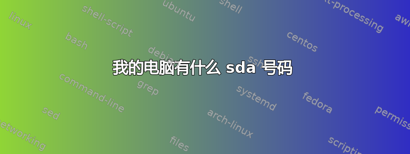 我的电脑有什么 sda 号码