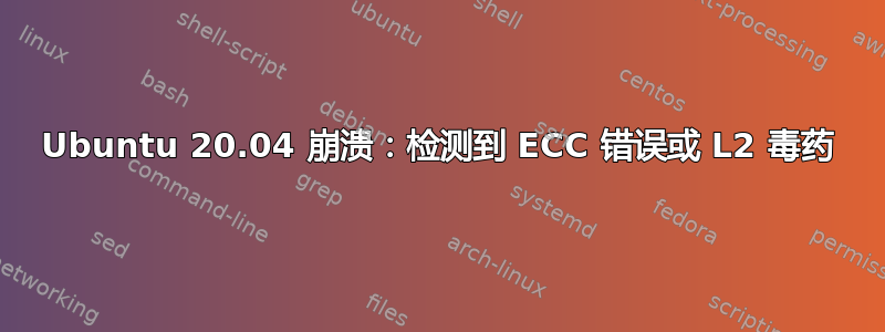 Ubuntu 20.04 崩溃：检测到 ECC 错误或 L2 毒药