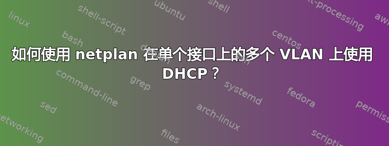 如何使用 netplan 在单个接口上的多个 VLAN 上使用 DHCP？