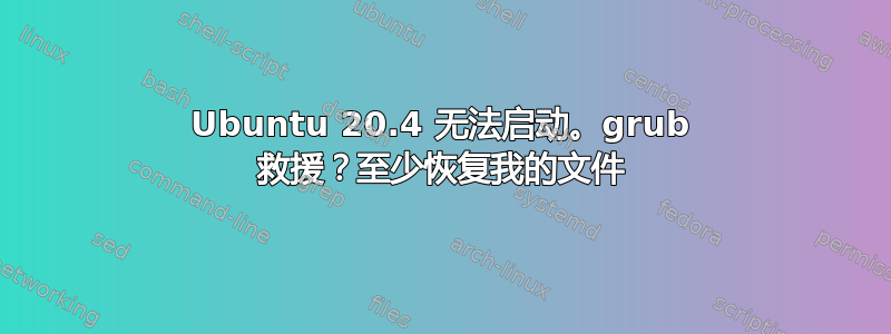 Ubuntu 20.4 无法启动。grub 救援？至少恢复我的文件