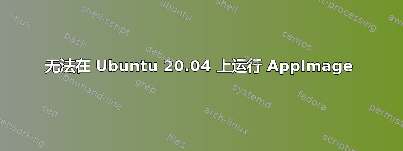 无法在 Ubuntu 20.04 上运行 AppImage