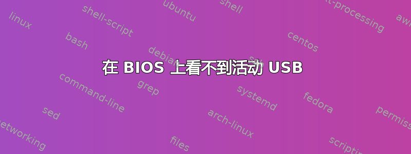 在 BIOS 上看不到活动 USB