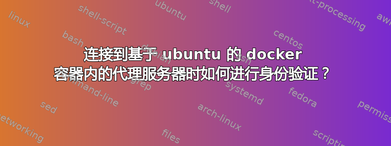 连接到基于 ubuntu 的 docker 容器内的代理服务器时如何进行身份验证？