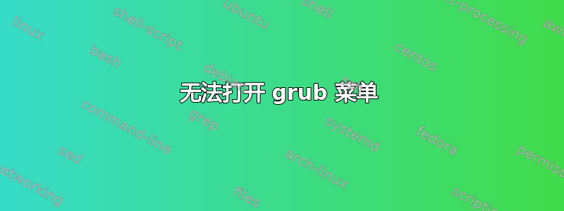 无法打开 grub 菜单