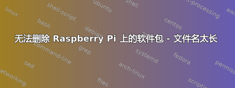 无法删除 Raspberry Pi 上的软件包 - 文件名太长