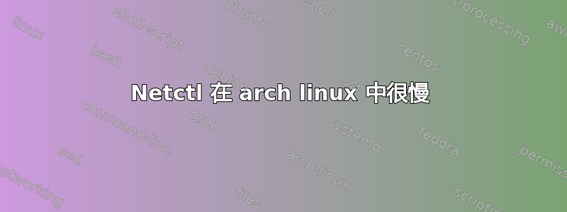 Netctl 在 arch linux 中很慢