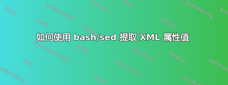 如何使用 bash/sed 提取 XML 属性值