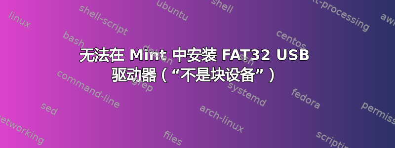 无法在 Mint 中安装 FAT32 USB 驱动器（“不是块设备”）