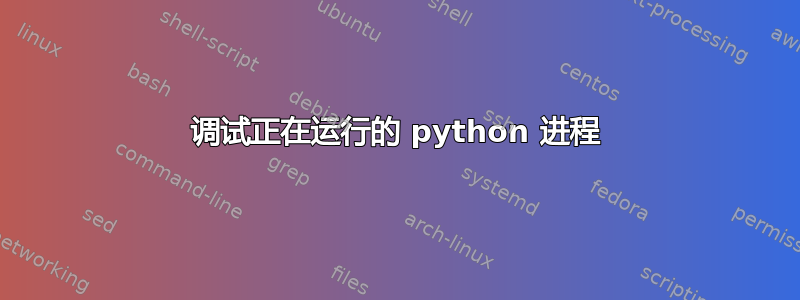 调试正在运行的 python 进程