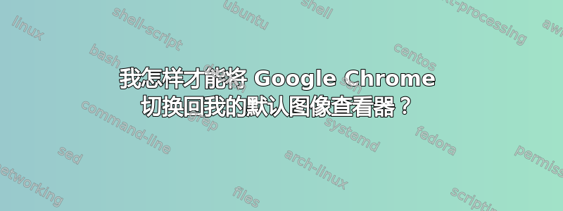 我怎样才能将 Google Chrome 切换回我的默认图像查看器？