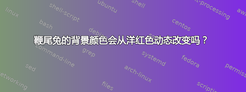 鞭尾兔的背景颜色会从洋红色动态改变吗？