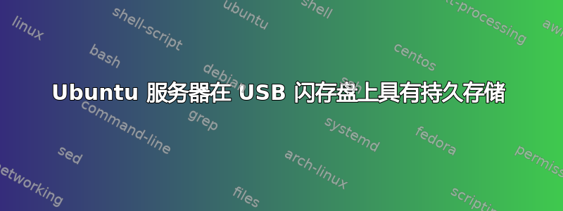 Ubuntu 服务器在 USB 闪存盘上具有持久存储