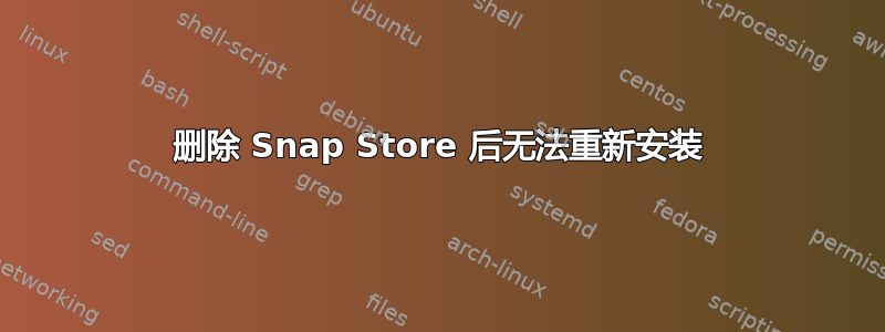 删除 Snap Store 后无法重新安装