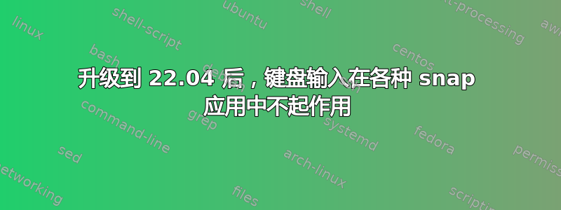 升级到 22.04 后，键盘输入在各种 snap 应用中不起作用