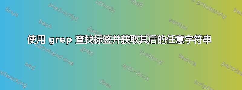 使用 grep 查找标签并获取其后的任意字符串