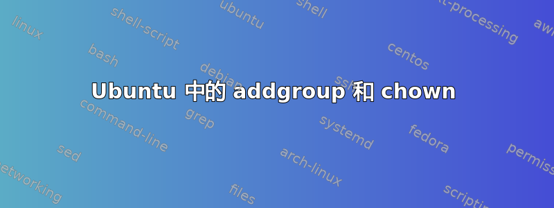 Ubuntu 中的 addgroup 和 chown