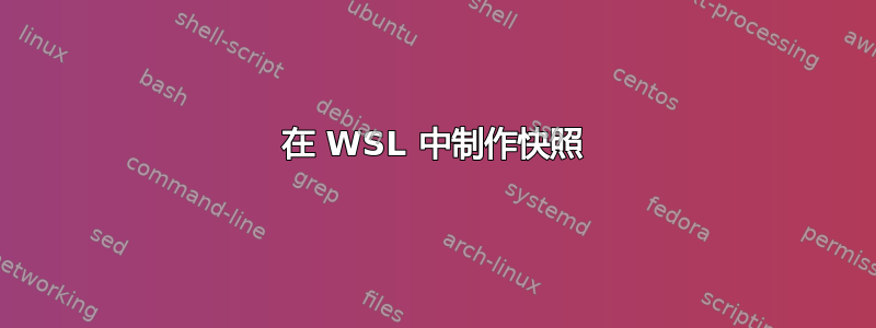 在 WSL 中制作快照