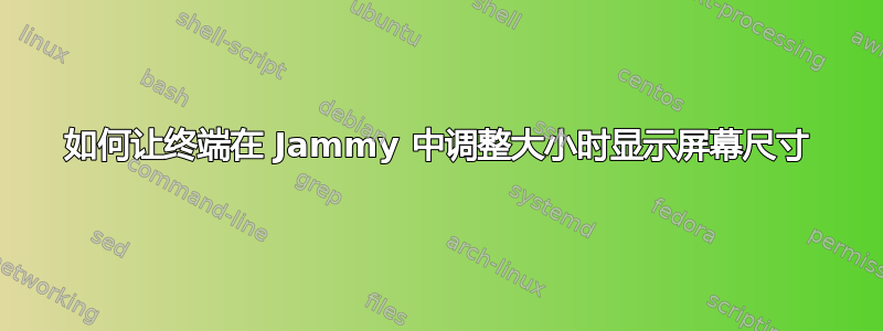 如何让终端在 Jammy 中调整大小时显示屏幕尺寸