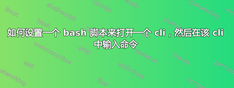 如何设置一个 bash 脚本来打开一个 cli，然后在该 cli 中输入命令